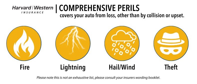 Diagram showing comprehensive coverage perils for auto insurance